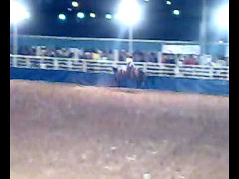 RODEIO - 2009 - Rinópolis-SP