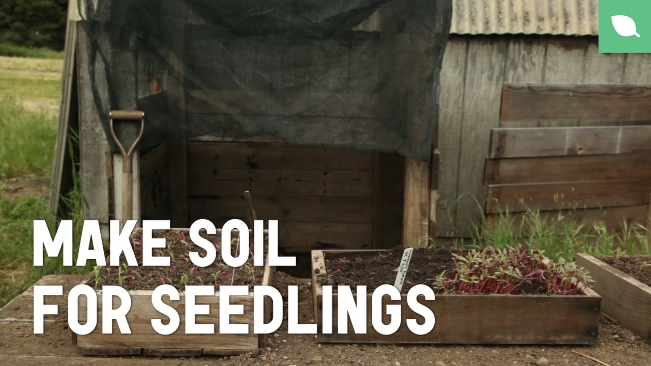 How to make soil for seedlings - Grow an Organic Garden | Sikana