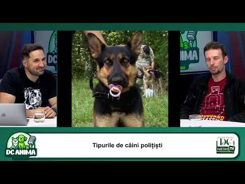 Youtube video image