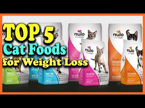Top 5 Best Cat Foods for Weight Loss in 2021