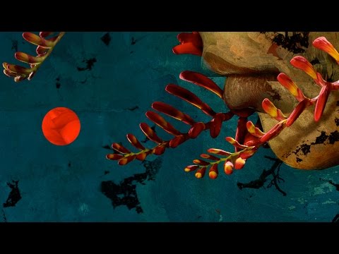 Video thumbnail for On The Head Of The Crimson King