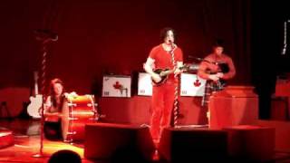 White Stripes - Prickly Thorn (Glace Bay)