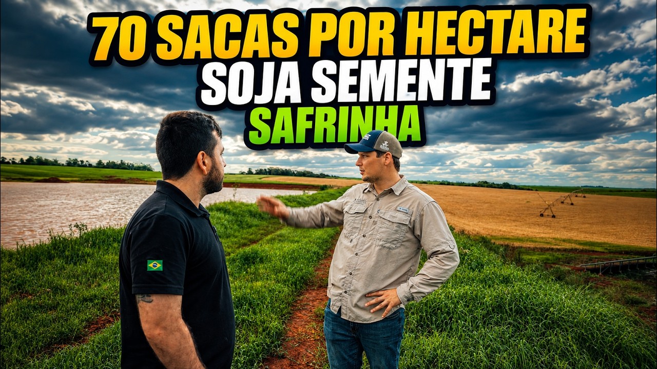 Ajudamos um produtor a produzir quase 70 sacas de soja semente com a sonda BRSense