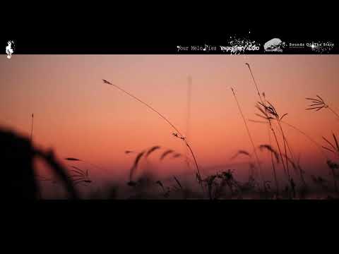 Kohta Imafuku - Best Wishes (Sounds Of The Stars Recordings)