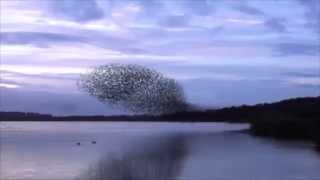 The Clean Edge of Change