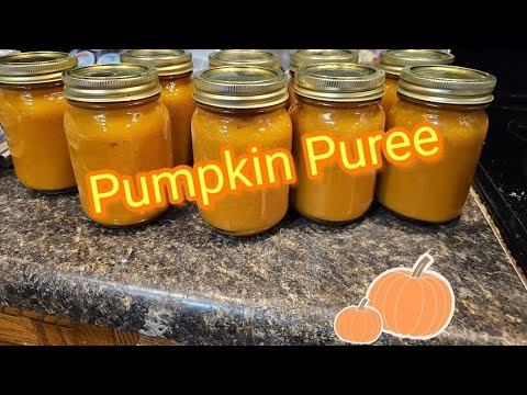Pumpkin Puree + BONUS Pumpkin Seed Recipe