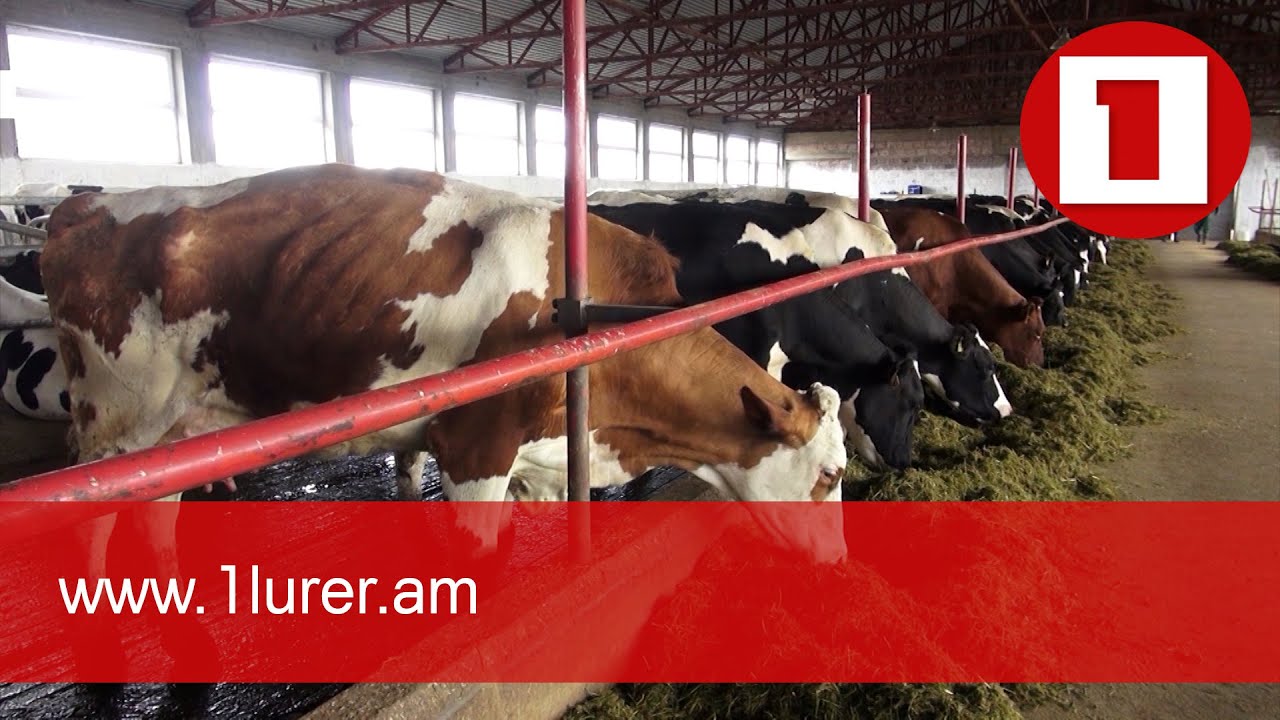 Գյուղոլորտի վարկային ծրագրերում սկսել են ներառվել բոլոր մարզերը