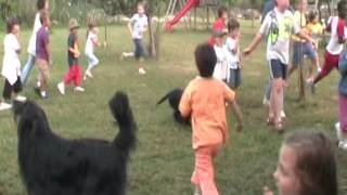 Agriturismo Papaveri e Papere - Giochi sul Prato canti cani e capre