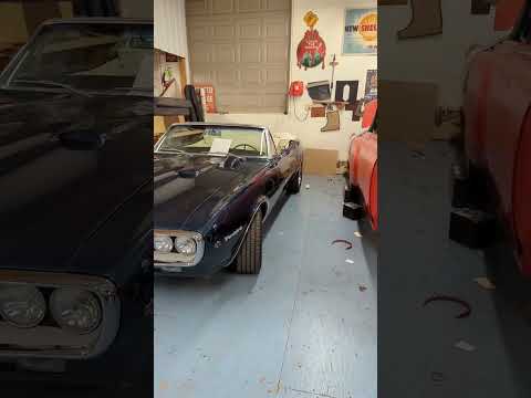 Rare Firebird 4 spd *Huge Cam*