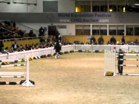 Sunday und First Selection Landgestüt Warendorf  Hengstschau Aachen 2012