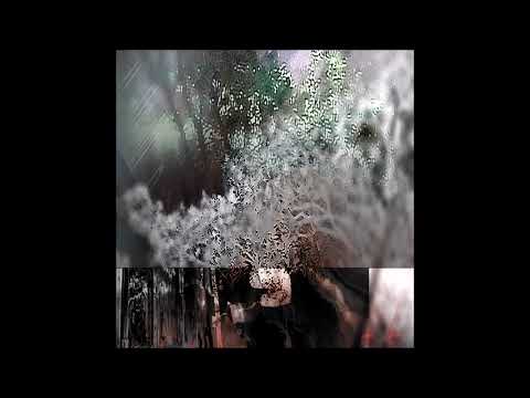 02. Cat Soup - i saw myself