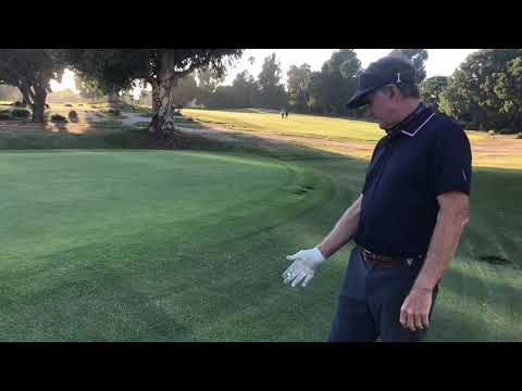 Sprinkler Head Obstruction Policy