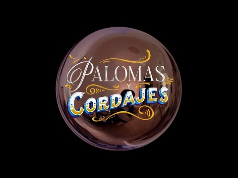 Palomas y Cordajes - ZORB MV 🔮