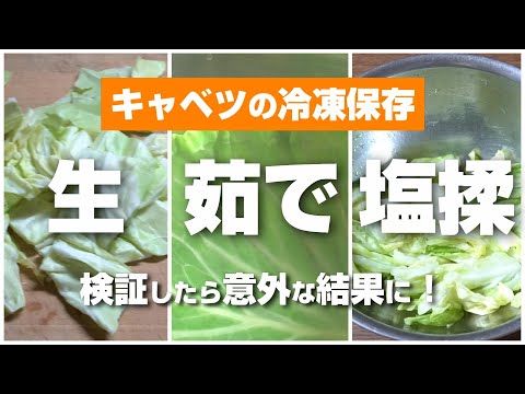 白キャベツの冷凍:生か湯通しか? 植物