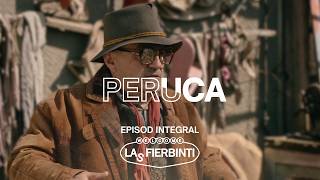 Download lagu Peruca | Las Fierbinți | EPISOD INTEGRAL mp3