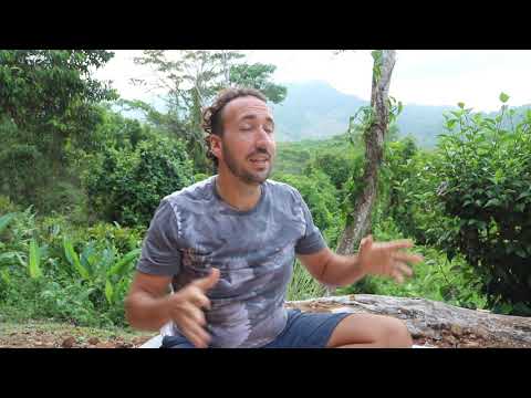 Curandero Pedro singing one of his Noya Rao icaros