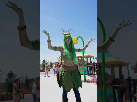 Waterloo Iowa Enchanted Found