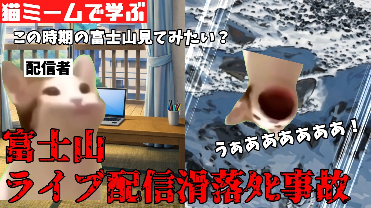 猫ミームで学ぶ富士山ライブ配信滑落死事故 #猫マニ #猫ミーム