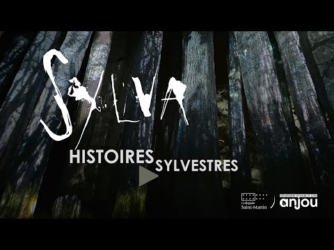 LES HISTOIRES SYLVESTRES #3 | L'arbre magique