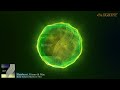 Techno Peak Time Driving Heerhorst Gizmo Mac Solar System Heerhorst Mix