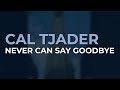 Cal Tjader - Never Can Say Goodbye (Official Audio)