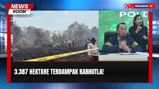 61 Tersangka Karhutla, 3 387 Hektare Lahan Terbakar