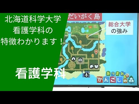 あつまれ　かんごしの森