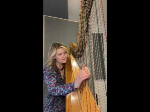 Promotional video thumbnail 4 for Kirsten Agresta Copely
