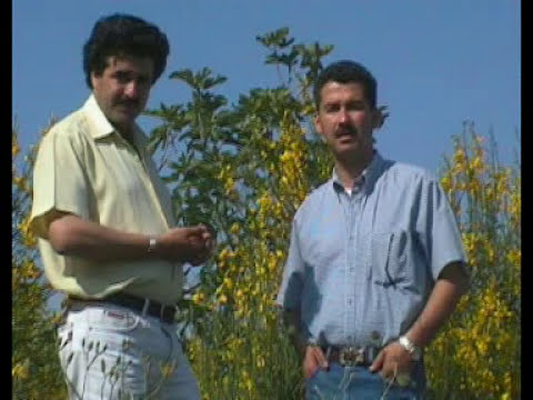 GROUPE ANZA - Yuɣ-d l'Visa