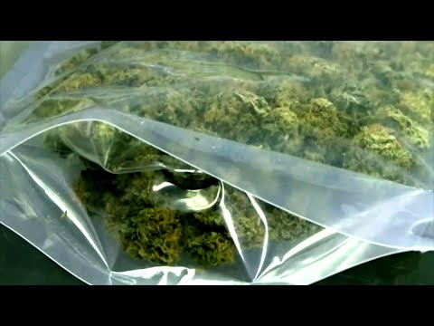 CT Cannabis Applications