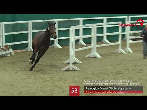 53 Hengst v. Arpeggio - Cornet Obolensky - Larry