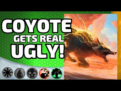 🔴🟢Coyote & Anzrag Are a Crazy Team-Up! | MTG Arena Standard Gameplay Hasty Gruul Aggro Deck Tech