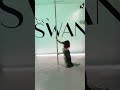 Back To Black Exoticpole By Suen