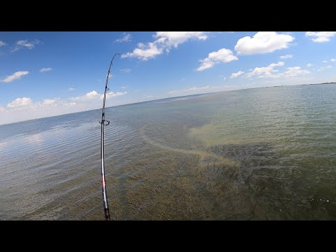 Fishing the Flats of Corpus Christi, Texas for Speckled Trout