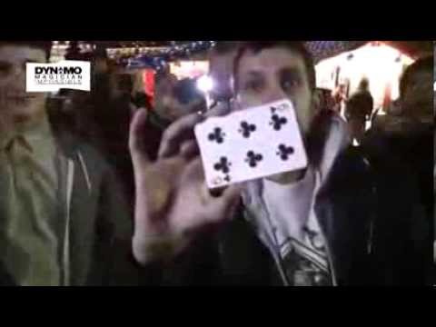 Dynamo and Freestyle runner