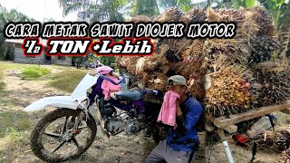Download lagu Cara Metak Muatan Sawit Dengan Motor Ojek Sawit Kapasitas - 600KG mp3