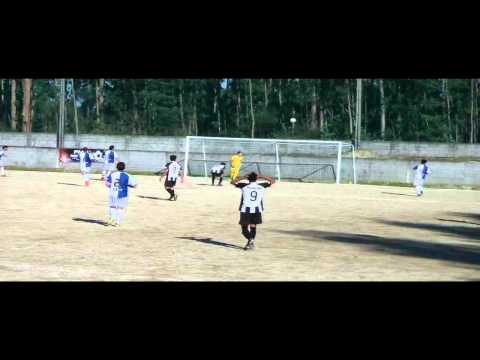 pereira 1 3 campo