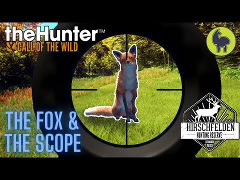 Sommer- The Fox and the Scope, Hirschfelden | theHunter: Call of the Wild (PS5 4K)