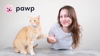 Pawp Pet Insurance Alternative Review (We Tried It)