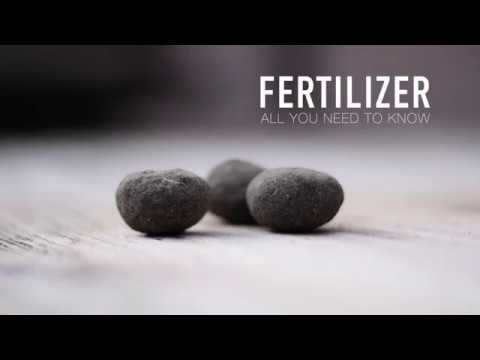 download lagu mp3 mp4 Bonsai Tree Fertilizer, download lagu Bonsai Tree Fertilizer gratis, unduh video klip Bonsai Tree Fertilizer