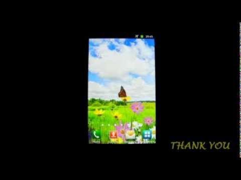 Butterfly Live Wallpaper HD 3 Video