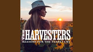 Reasons for the Tears I Cry Music Video