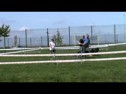 Nationale d'Elevage -CSAU- Nadjarah's Havila