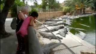 preview picture of video 'Djerba Midoune..KROKODILFARM mit 400 Krokodilen..Okt, 2014'