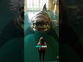 Why No Aquarium Has A Great White Shark