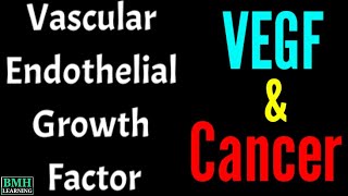 Vascular Endothelial Growth Factor | VEGF |