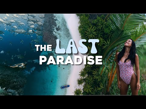"The Last Paradise" 🏝️ FREEDIVING RAJA AMPAT