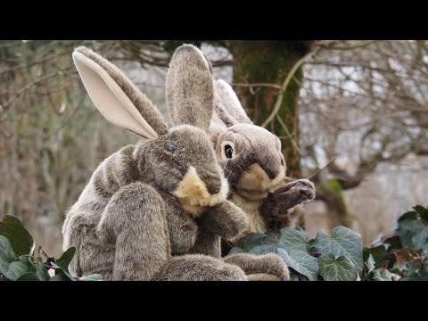 Ev. Kirchengemeinde Obersontheim Passionsandacht Gründonnerstag 2021 mit Harry und Hermine