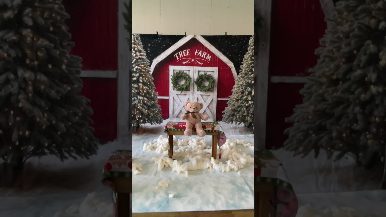 Unveiling the Enchantment: Setting Up Your Christmas Tree Farm Backdrop