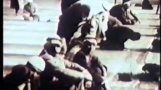 "The Forgotten Refugees" - Full Documentary Movie